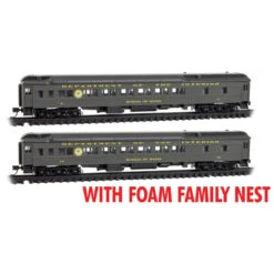 Micro-Trains Line 99302213 - 12-1 Heavyweight Sleeper Car FOAM 2-PACK US Dept. Of The Interior 7, 10 - N Scale